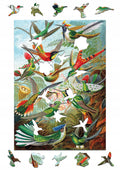 Drewniane puzzle A4 Ernst Haeckel "Kolibry" 175 el