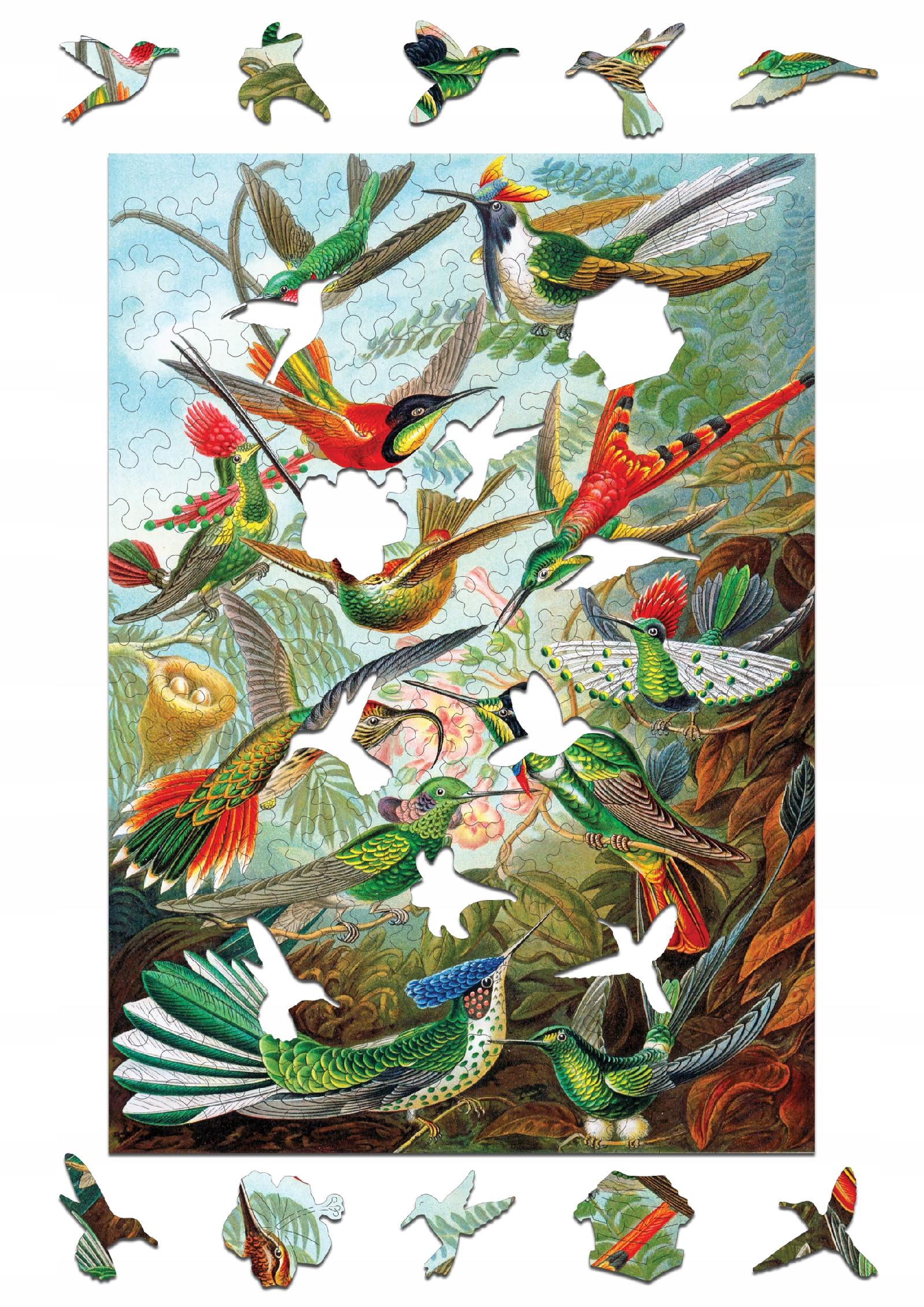 Drewniane puzzle A4 Ernst Haeckel "Kolibry" 175 el