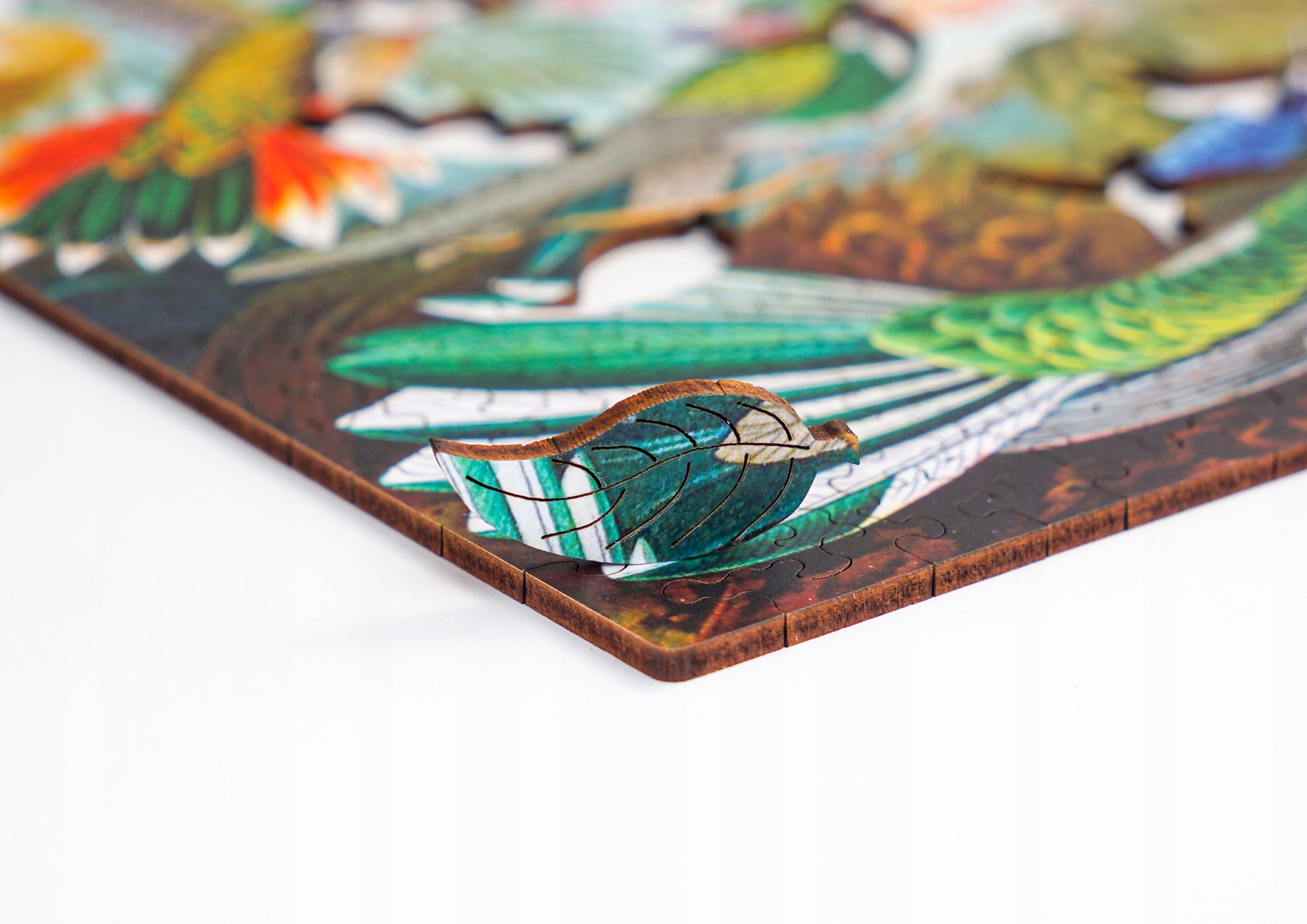 Puzzle Drewniane Kolibry Ernst Haeckel Układanka 385 Elementów A3
