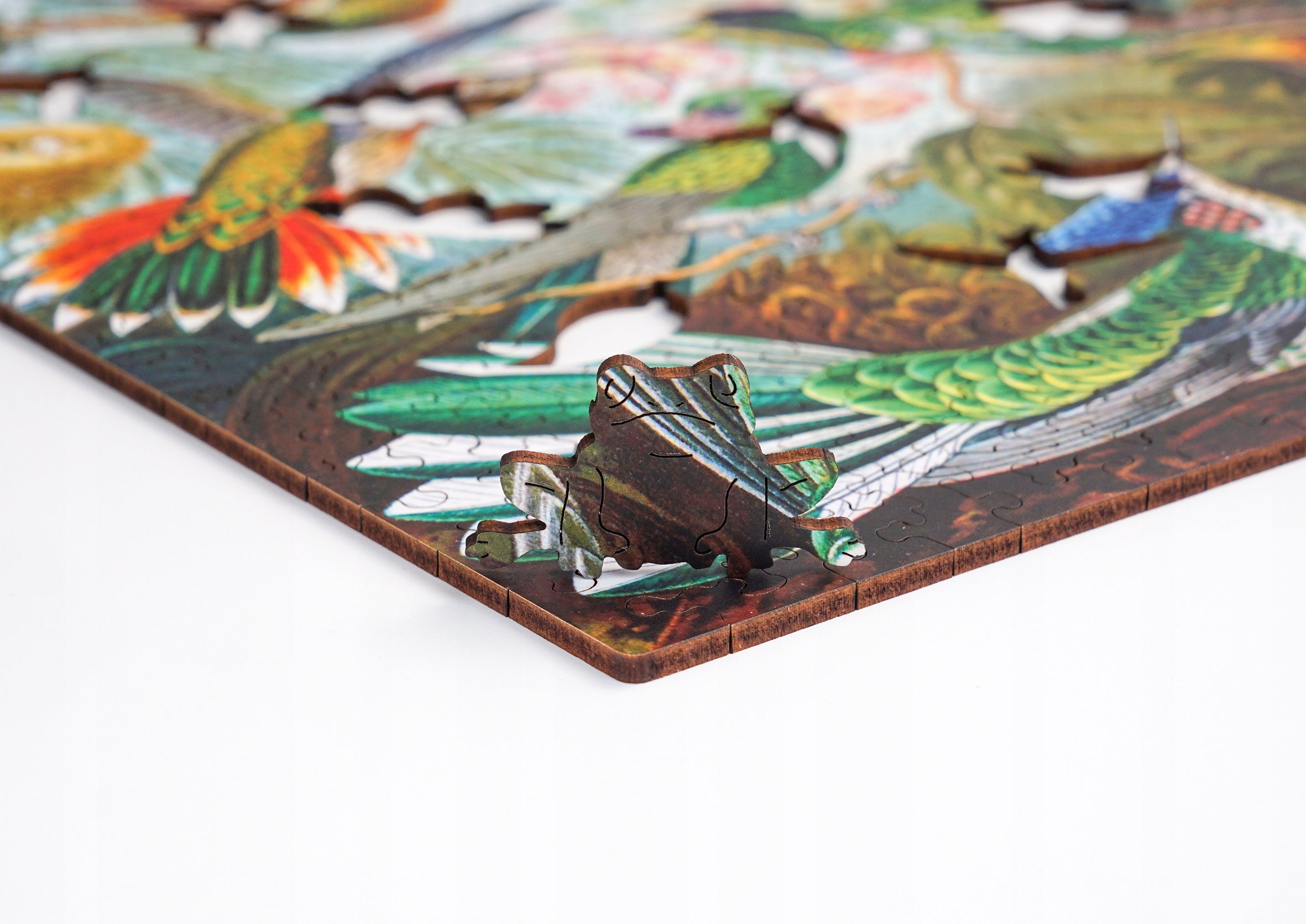 Puzzle Drewniane Kolibry Ernst Haeckel Układanka 385 Elementów A3