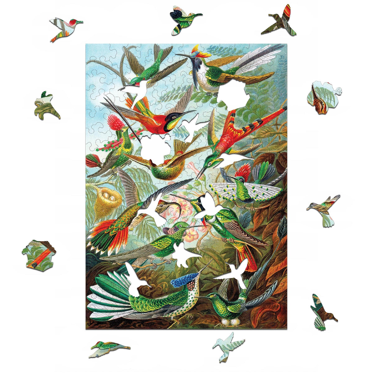 Drewniane puzzle A4 Ernst Haeckel "Kolibry" 175 el